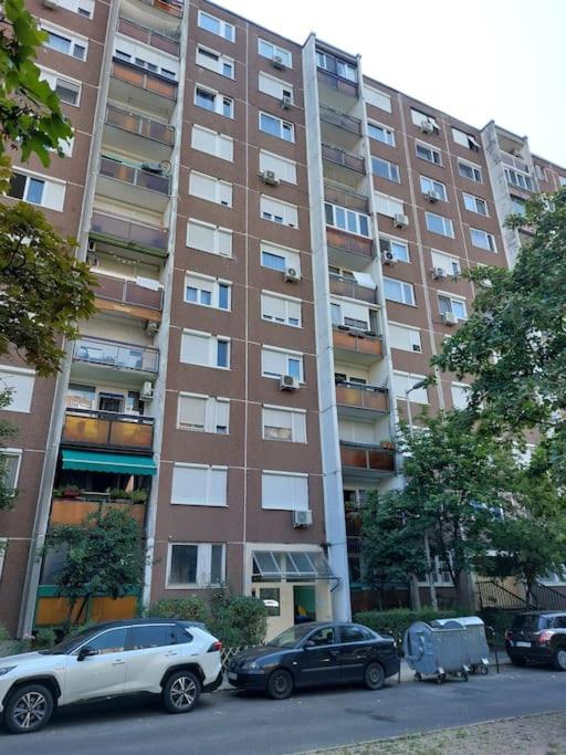 Erzsebet Apartman, Free Parking Budapeşte Dış mekan fotoğraf