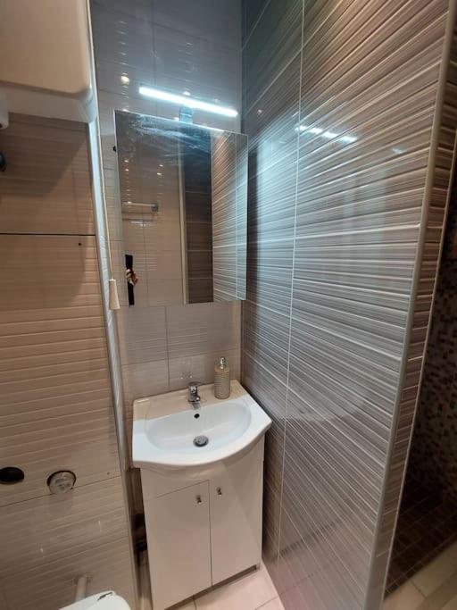 Erzsebet Apartman, Free Parking Budapeşte Dış mekan fotoğraf