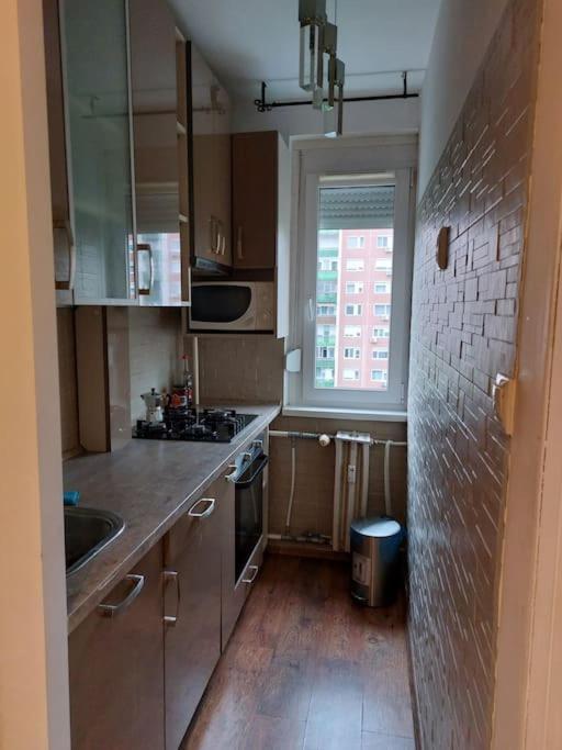 Erzsebet Apartman, Free Parking Budapeşte Dış mekan fotoğraf